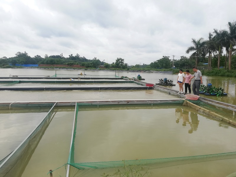 余氯分析儀可提前預(yù)防養(yǎng)殖風險