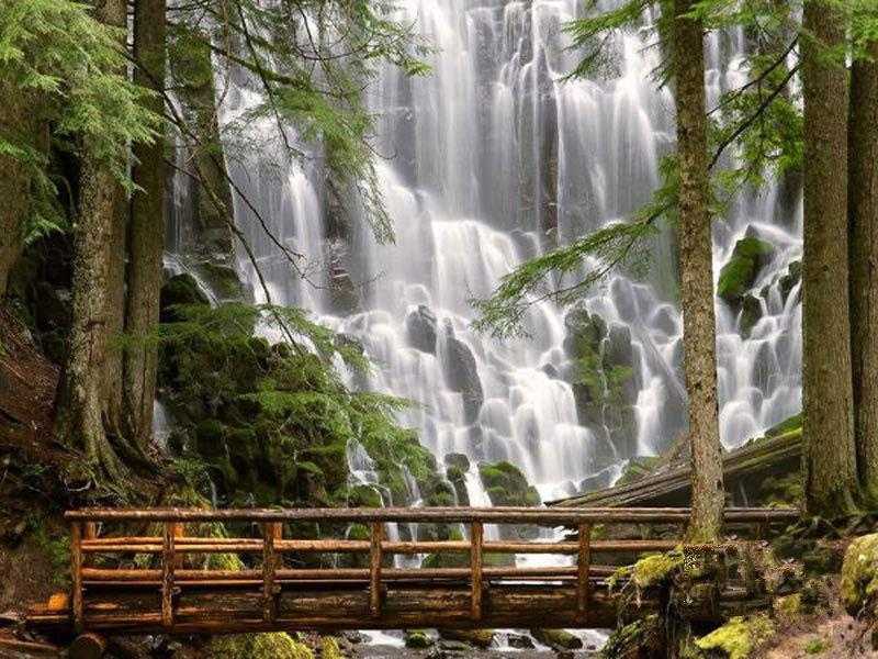 負(fù)氧離子濃度是空氣質(zhì)量評(píng)價(jià)的指標(biāo) 負(fù)氧離子濃度是空氣質(zhì)量評(píng)價(jià)的指標(biāo)