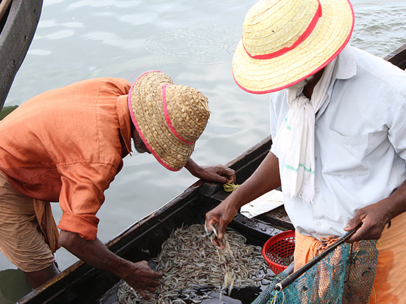 水產(chǎn)養(yǎng)殖水質(zhì)檢測儀分析儀有效分析水體狀況 水產(chǎn)養(yǎng)殖水質(zhì)檢測儀分析儀有效分析水體狀況