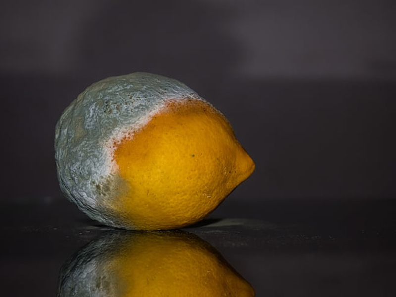 食品中常見(jiàn)的真菌毒素有哪些 食品中常見(jiàn)的真菌毒素有哪些