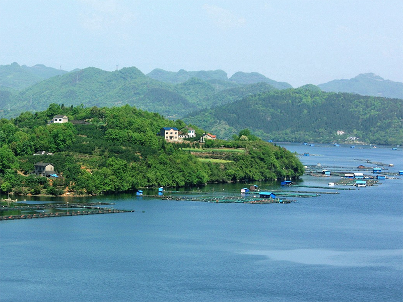 cod快速檢測(cè)儀推薦(詳解cod快速檢測(cè)儀工作原理)