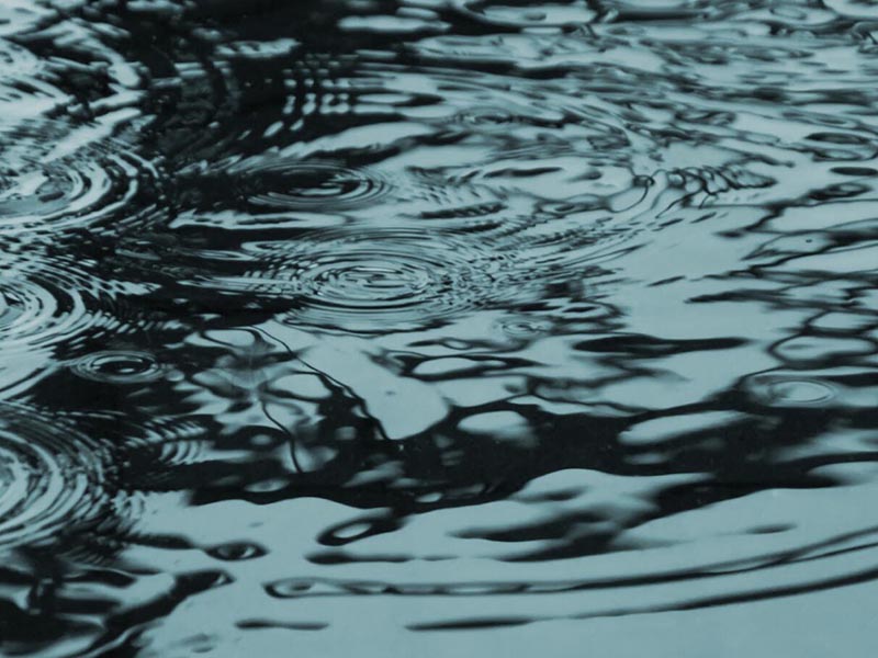 水質(zhì)生物毒性檢測技術(shù)介紹 水質(zhì)生物毒性檢測技術(shù)介紹