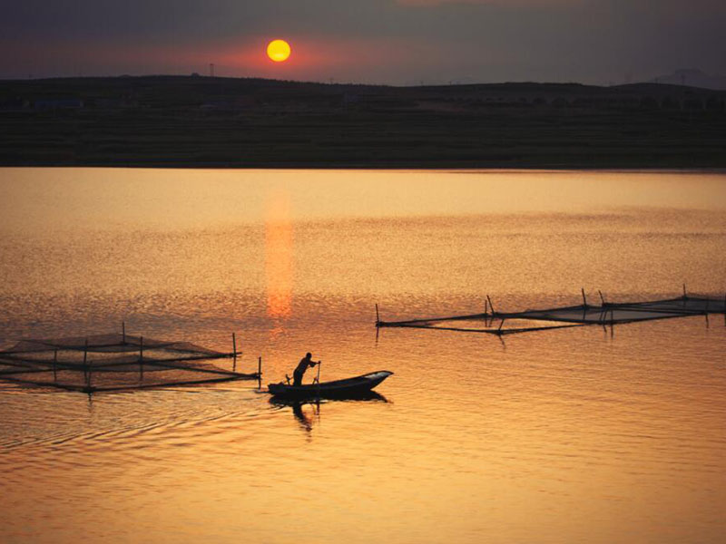 水產養(yǎng)殖水質分析儀可以檢測哪些項目 水產養(yǎng)殖水質分析儀可以檢測哪些項目
