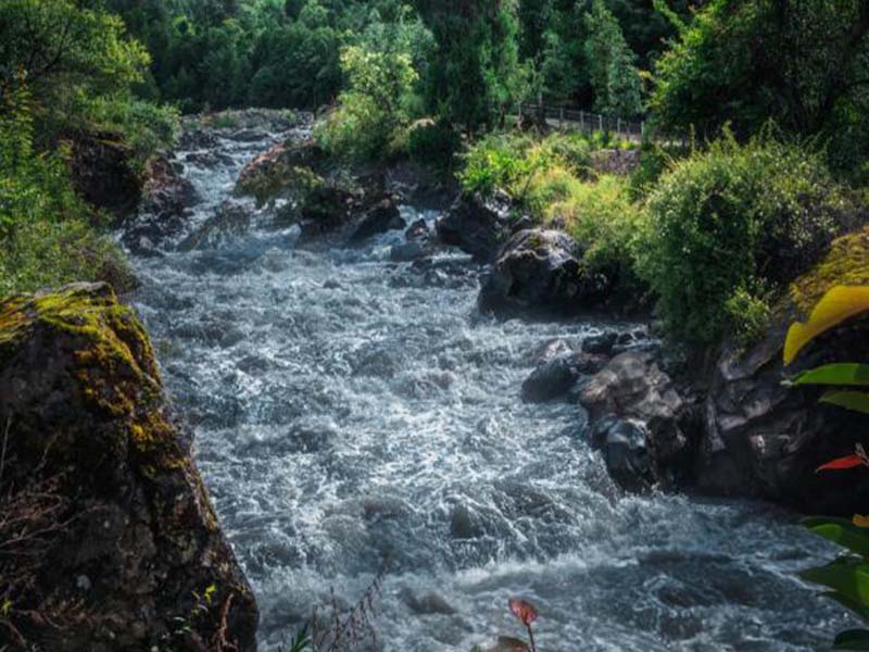 【問答】酶底物法檢測(cè)水質(zhì)總大腸菌群時(shí)測(cè)定結(jié)果如何計(jì)數(shù)