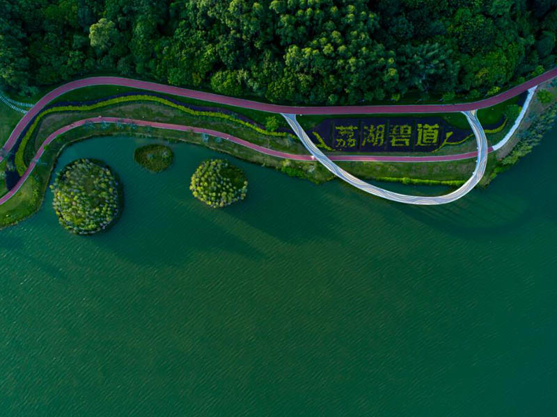 酶底物法檢測(cè)糞大腸菌群的原理