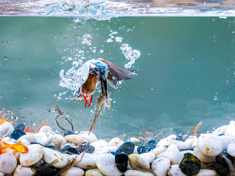 熒光法溶解氧分析儀傳感器維護(hù)方法及頻率