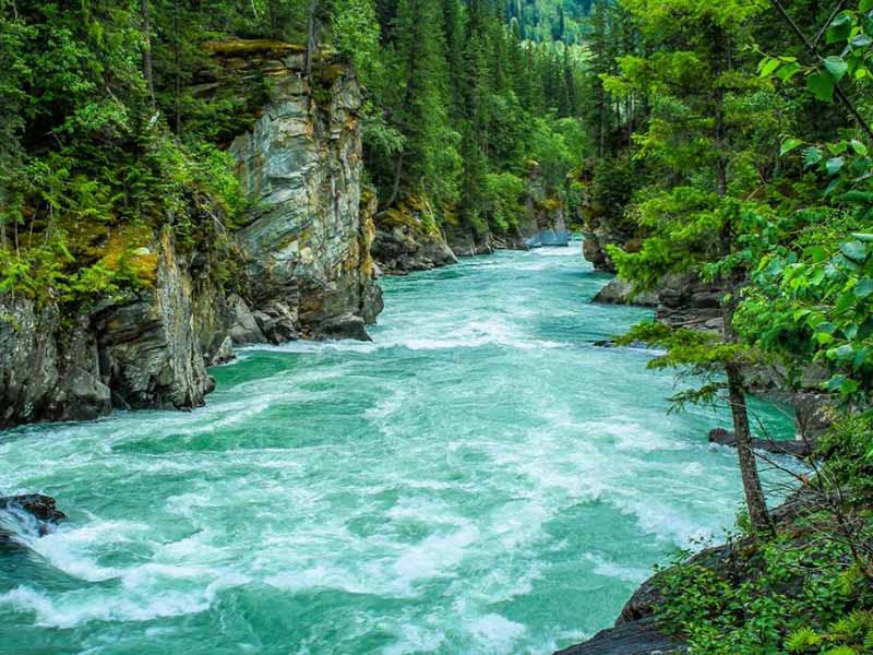 水中氨氮超標(biāo)如何處理