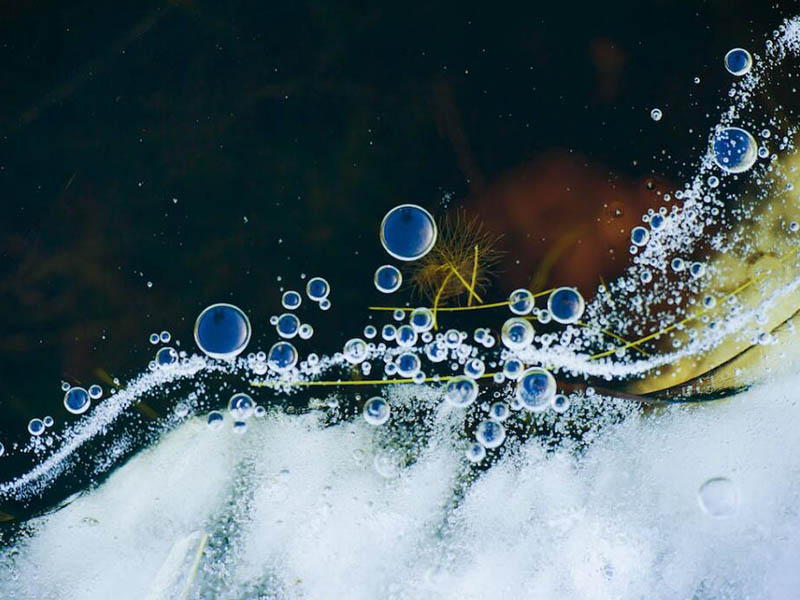水質微生物檢測基本原理