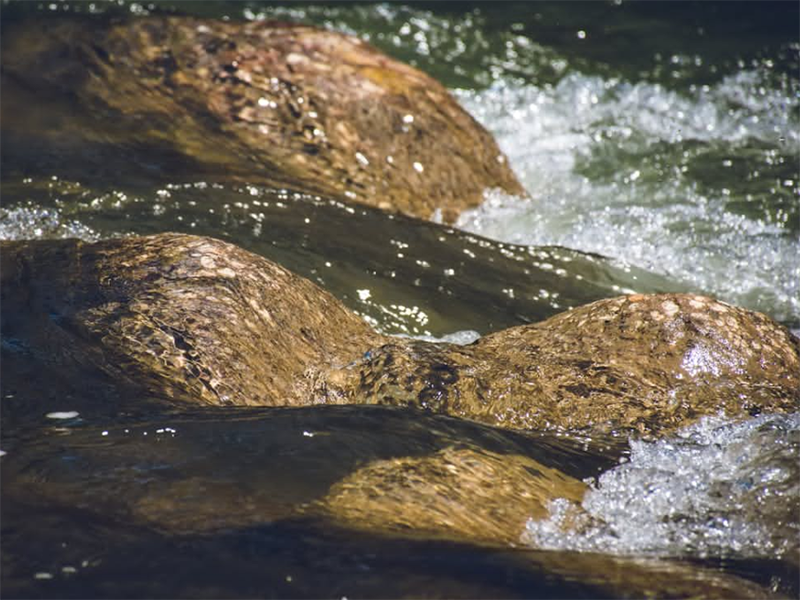 CODcr檢測儀設(shè)計(jì)依據(jù)