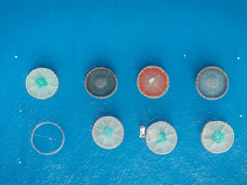 水產(chǎn)養(yǎng)殖水質(zhì)檢測儀怎么選擇