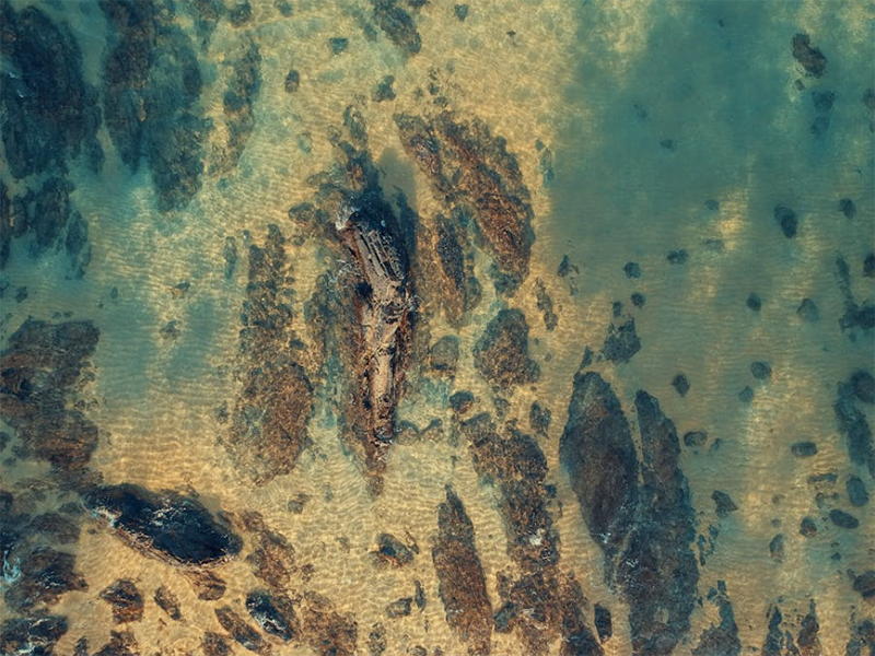 全自動紅外測油儀原理