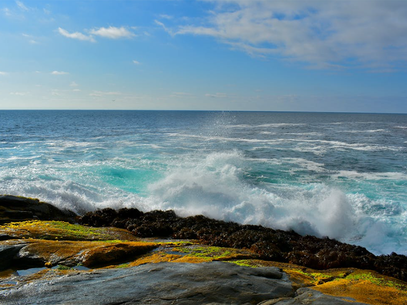 pH計的校準(zhǔn)步驟及常見問題