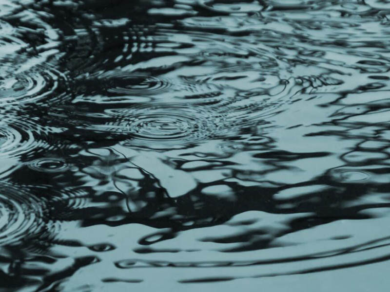 水質(zhì)檢測(cè)中常見(jiàn)金屬元素及來(lái)源(金屬元素的毒性機(jī)制)