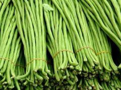 豆角中含有滅蠅胺？怎么解決？